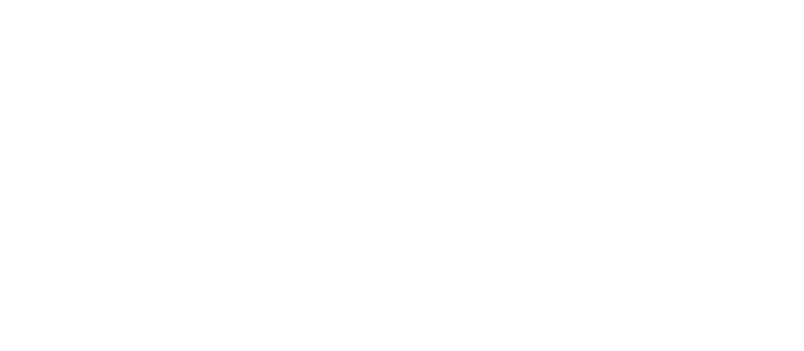 Bulum Connect Logo
